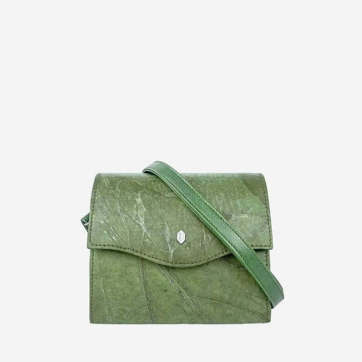 #color_olive green