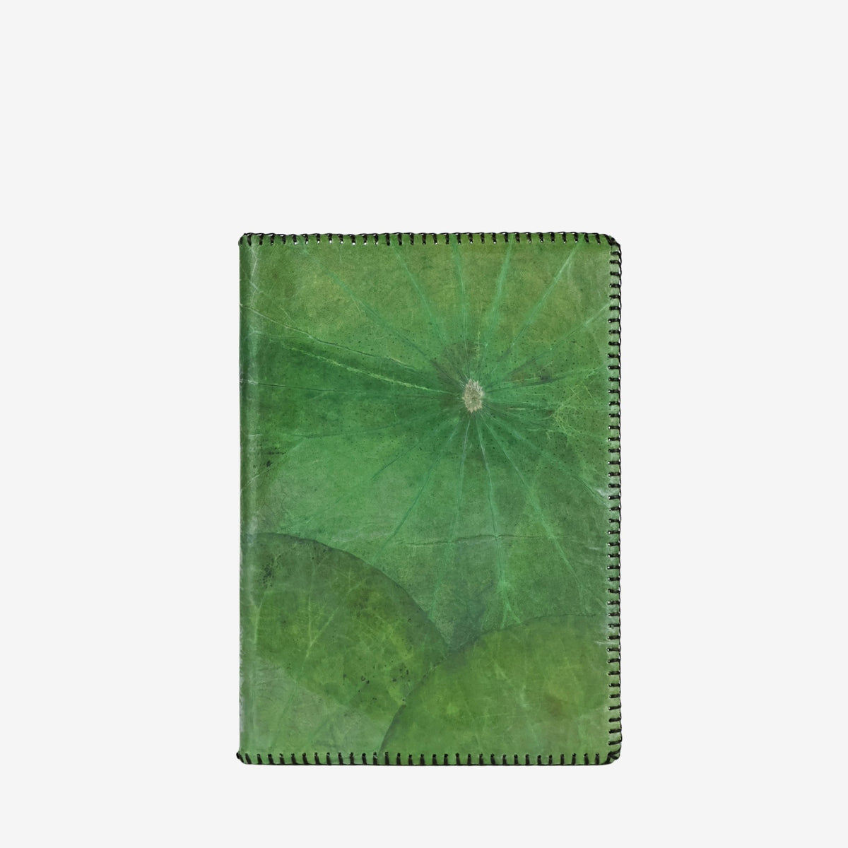 #color_olive green