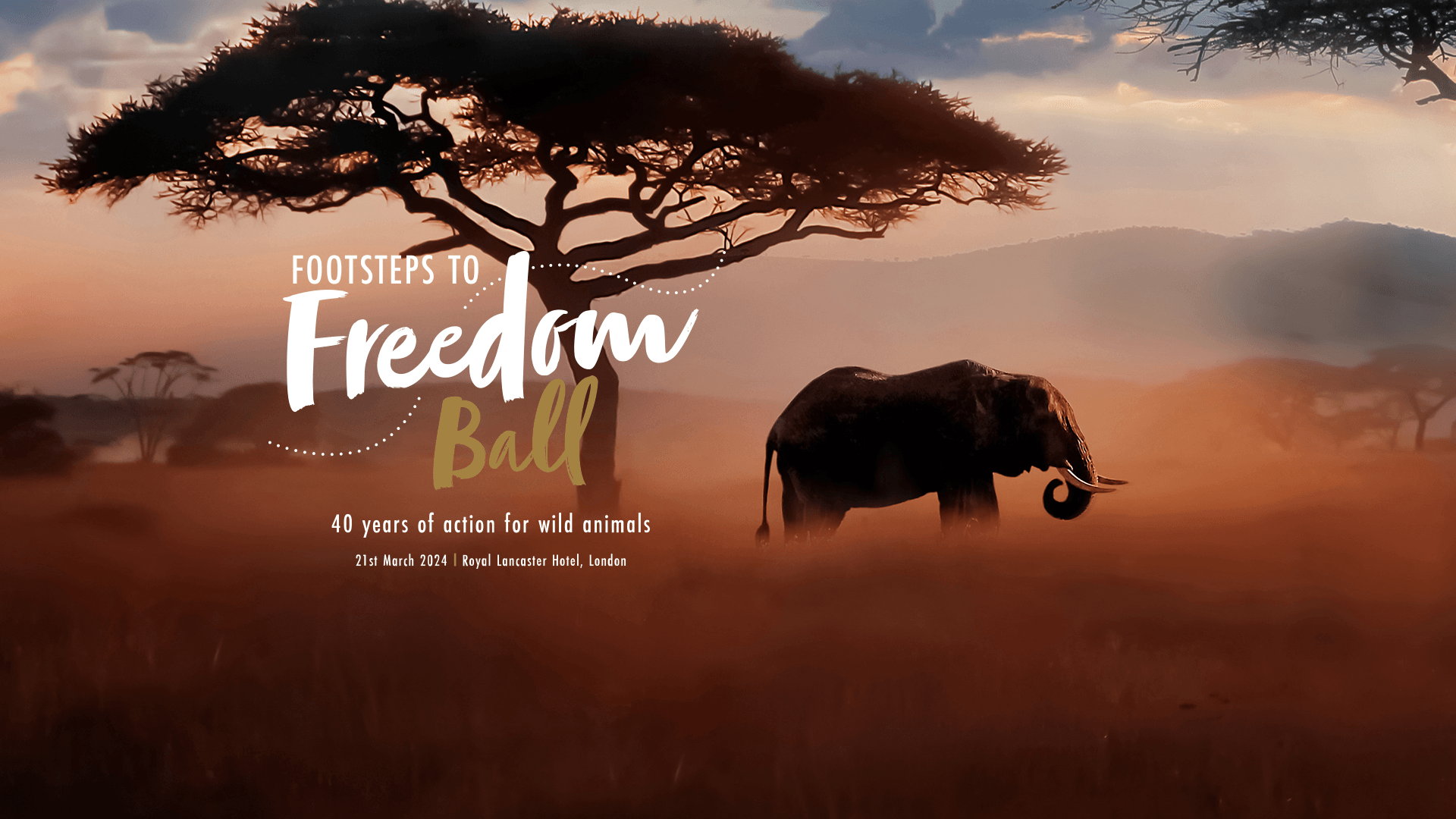 Together for Wildlife