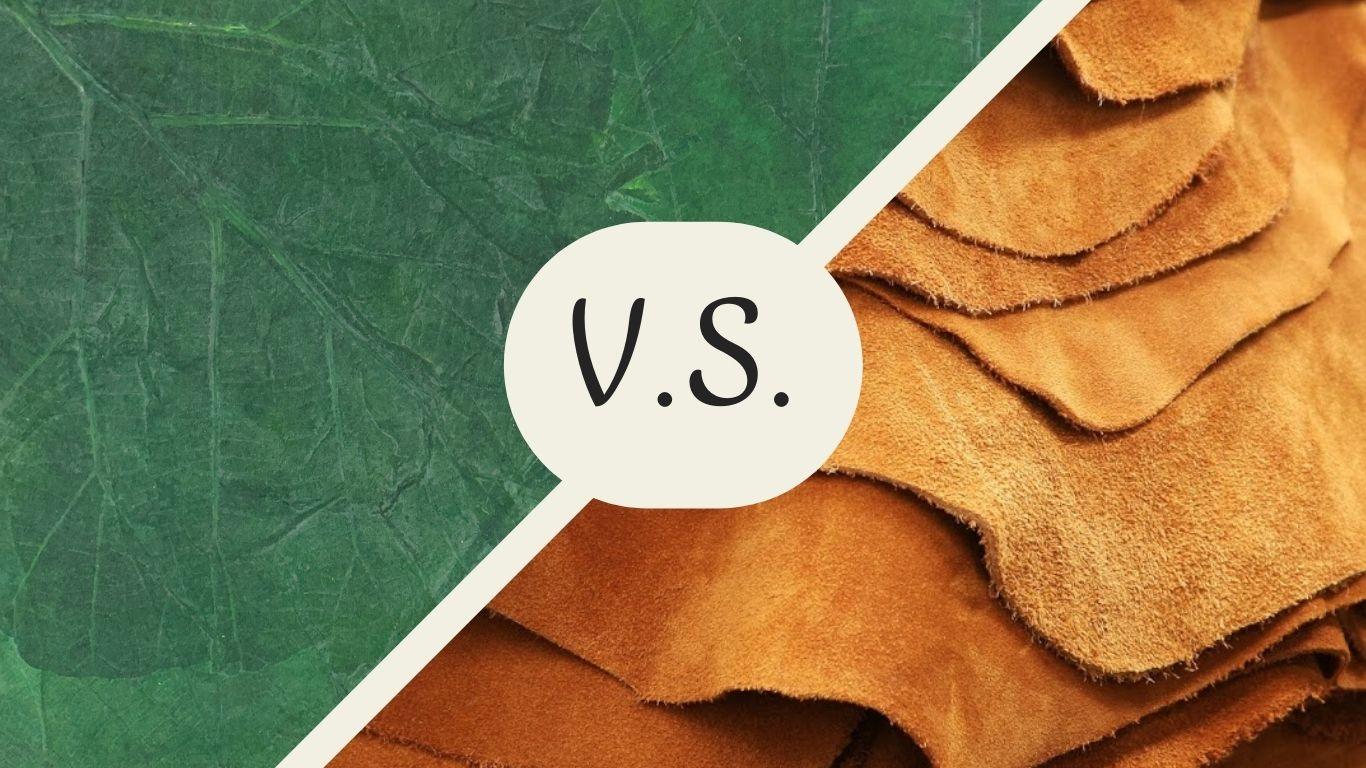 Why You Should Choose Vegan Leather Over Real Leather and "Reasons You Should Support Small Businesses"