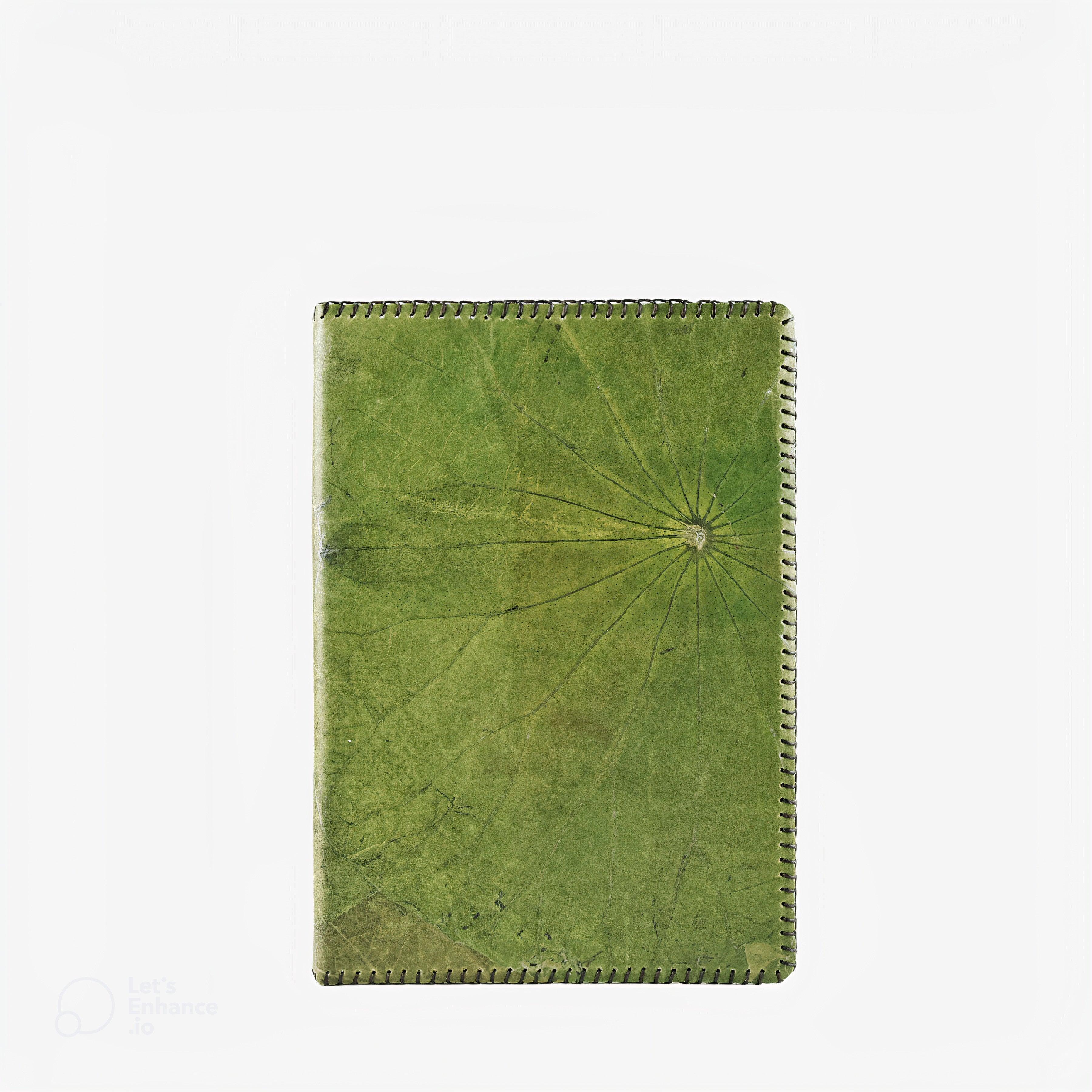 #color_olive green